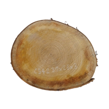 Plaster Czereśni 31x26x3cm