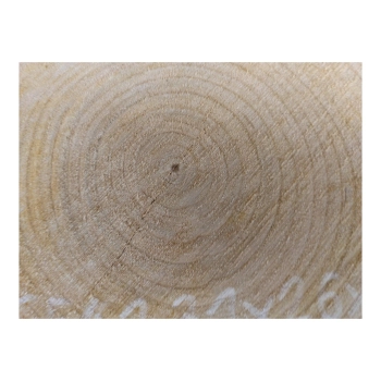 Plaster Czereśni 31x26x3cm