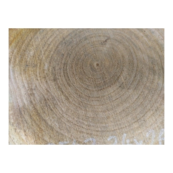Plaster Czereśni 34x26x3cm