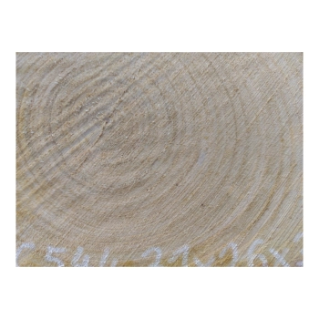 Plaster Czereśni 31x26x3cm