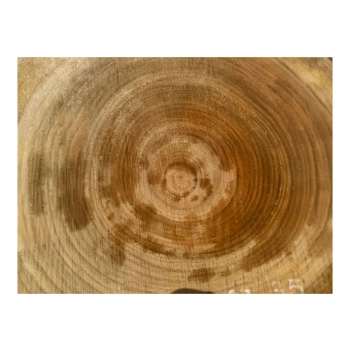 Plaster Czereśni 43x37x3,5cm