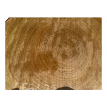 Plaster Czereśni 32x29x3,5cm