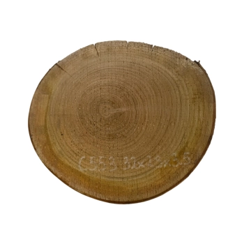 Plaster Czereśni 32x29x3,5cm