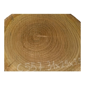 Plaster Czereśni 31x29x3,5cm