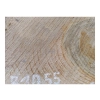 Plaster Orzecha Włoskiego 31x26x3cm