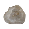 Plaster Orzecha Włoskiego 40x36x3cm