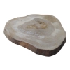 Plaster Orzecha Włoskiego 40x36x3cm