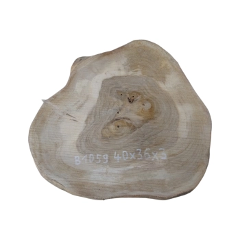 Plaster Orzecha Włoskiego 40x36x3cm