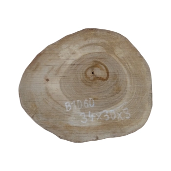Plaster Orzecha Włoskiego 34x30x3cm