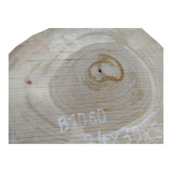 Plaster Orzecha Włoskiego 34x30x3cm