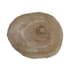 Plaster Orzecha Włoskiego 34x30x3cm