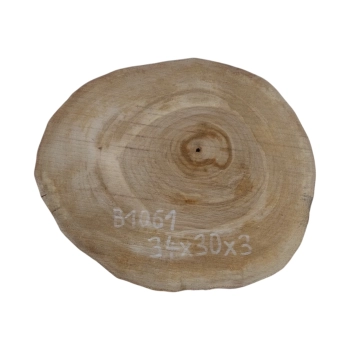 Plaster Orzecha Włoskiego 34x30x3cm