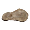 Plaster Orzecha Włoskiego 57x29x3cm
