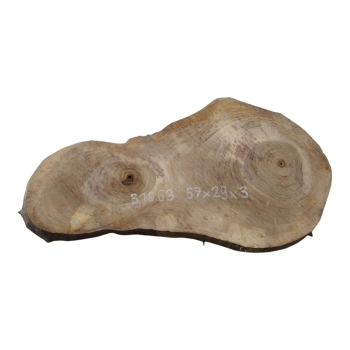 Plaster Orzecha Włoskiego 57x29x3cm