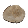 Plaster Orzecha Włoskiego 31x26x3cm