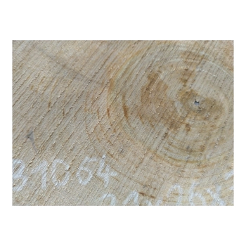 Plaster Orzecha Włoskiego 31x26x3cm