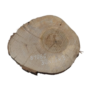 Plaster Orzecha Włoskiego 30x26x3cm
