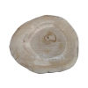 Plaster Orzecha Włoskiego 34x29x3cm