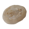 Plaster Orzecha Włoskiego 34x30x3cm