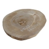 Plaster Orzecha Włoskiego 34x30x3cm