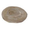 Plaster Orzecha Włoskiego 34x30x3cm