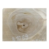 Plaster Orzecha Włoskiego 34x30x3cm