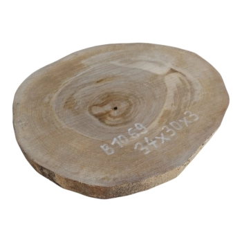 Plaster Orzecha Włoskiego 34x30x3cm
