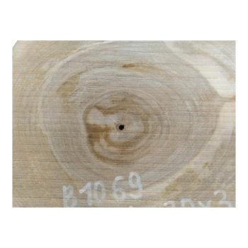 Plaster Orzecha Włoskiego 34x30x3cm