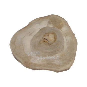Plaster Orzecha Włoskiego 39x34x3cm