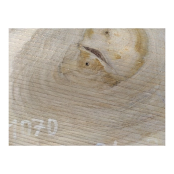Plaster Orzecha Włoskiego 39x34x3cm