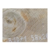 Plaster Orzecha Włoskiego 58x26x3cm