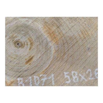 Plaster Orzecha Włoskiego 58x26x3cm