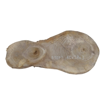Plaster Orzecha Włoskiego 60x28x3cm