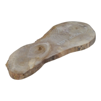 Plaster Orzecha Włoskiego 60x28x3cm
