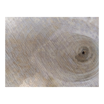 Plaster Orzecha Włoskiego 60x28x3cm