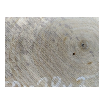 Plaster Orzecha Włoskiego 60x28x3cm