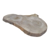 Plaster Orzecha Włoskiego 55x35x3cm