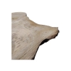 Plaster Orzecha Włoskiego 55x35x3cm