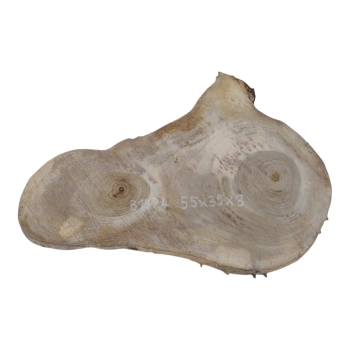 Plaster Orzecha Włoskiego 55x35x3cm