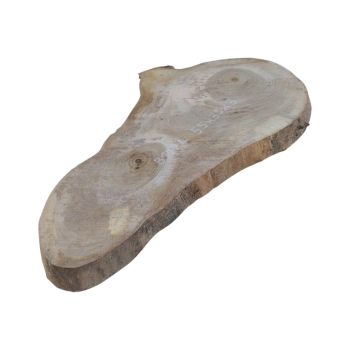 Plaster Orzecha Włoskiego 55x35x3cm