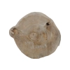 Plaster Orzecha Włoskiego 38x35x3cm