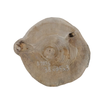 Plaster Orzecha Włoskiego 38x35x3cm