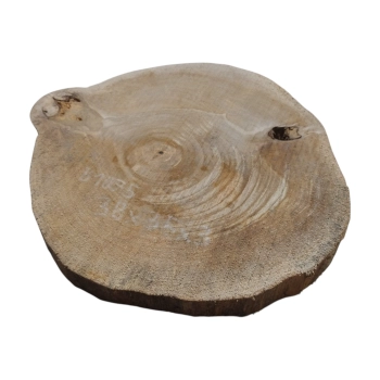 Plaster Orzecha Włoskiego 38x35x3cm