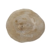 Plaster Orzecha Włoskiego 35x32x3cm
