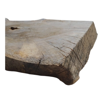 Plaster Orzecha Włoskiego 60x26x3cm