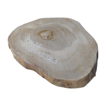 Plaster Orzecha Włoskiego 35x33x3cm