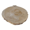Plaster Orzecha Włoskiego 34x32x3cm
