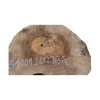 Plaster Orzecha Włoskiego 26x27x3,5cm