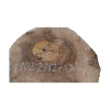 Plaster Orzecha Włoskiego 27x27x3,5cm