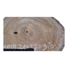 Plaster Orzecha Włoskiego 31x27x3,5cm